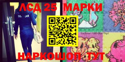 крисы Новодвинск