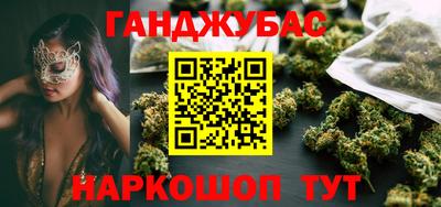 крисы Новодвинск