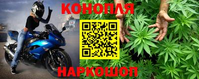 крисы Новодвинск
