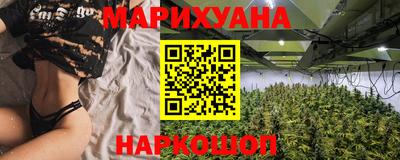 крисы Новодвинск