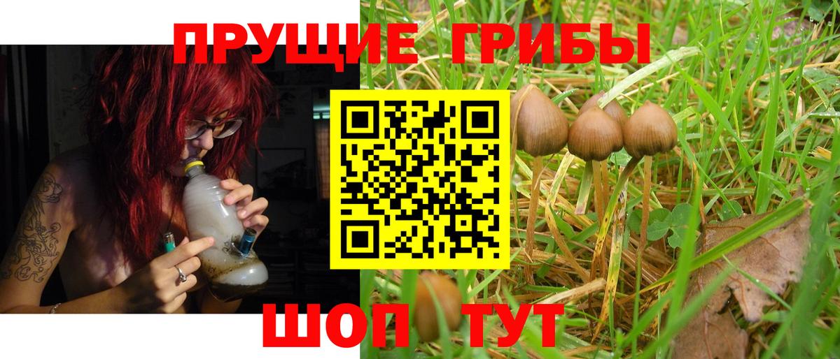 Псилоцибиновые грибы прущие грибы  Вход с VPN  Узловая 